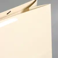 Пакет ламинированный горизонтальный "Молочный", XXL  61 х 46 х 20 см