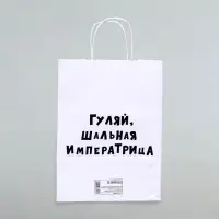 Пакет подарочный &laquo;Гуляй шальная императрица&raquo;, 24&times;14&times;28 см, 1 шт.