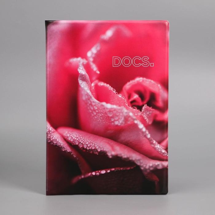 Папка для семейных документов &laquo;Docs&raquo;, 8 файлов А4