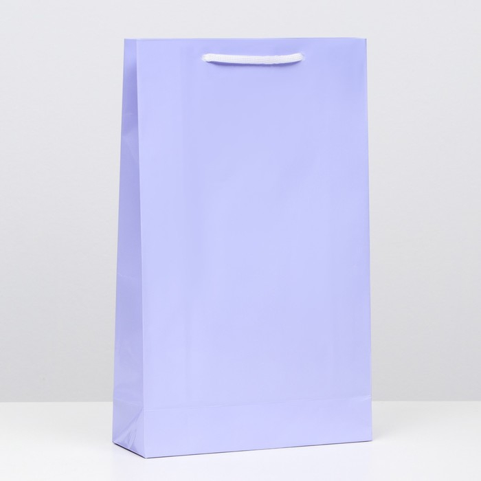 Пакет ламинированный, сиреневый, 40,5 х 24,8 х 9 см, набор 12 шт.