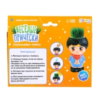 Набор для опытов &laquo;Весёлые прически: Мальчик&raquo;, выращиваем травку