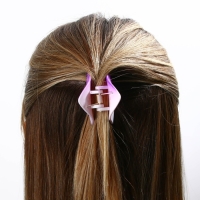 Краб для волос &laquo;Believe in magic&raquo;