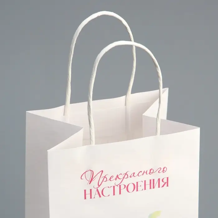 Пакет подарочный под бутылку, упаковка, &laquo;Прекрасного настроения&raquo;, белый крафт, 13 х 36 х 10