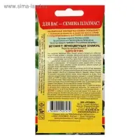 Семена Бегония вечноцветущая "Оломоуц", F1, 3 г