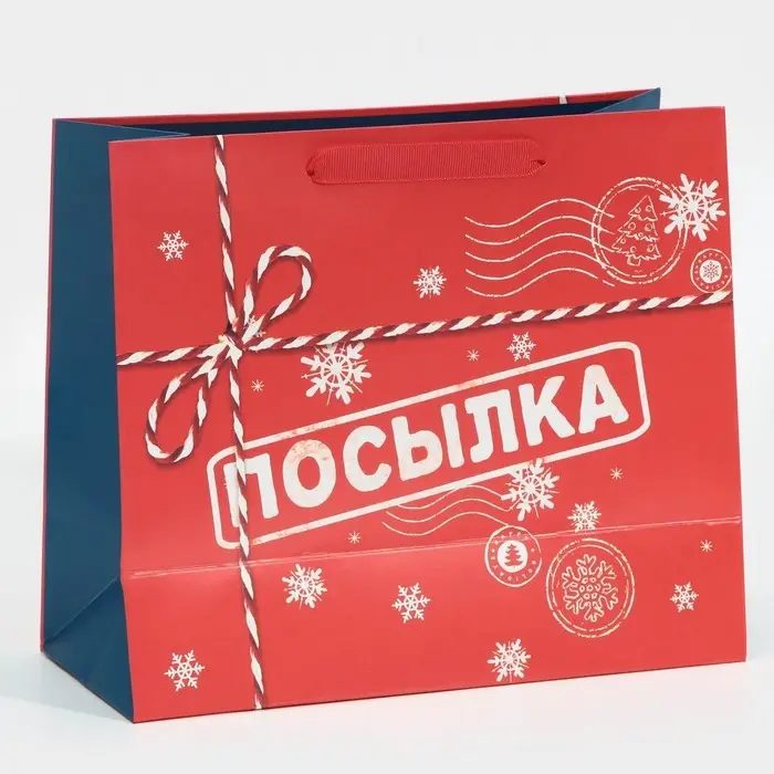 Пакет подарочный новогодний ламинированный &laquo;Посылка для тебя&raquo;, MS 18 х 23 х 10 см
