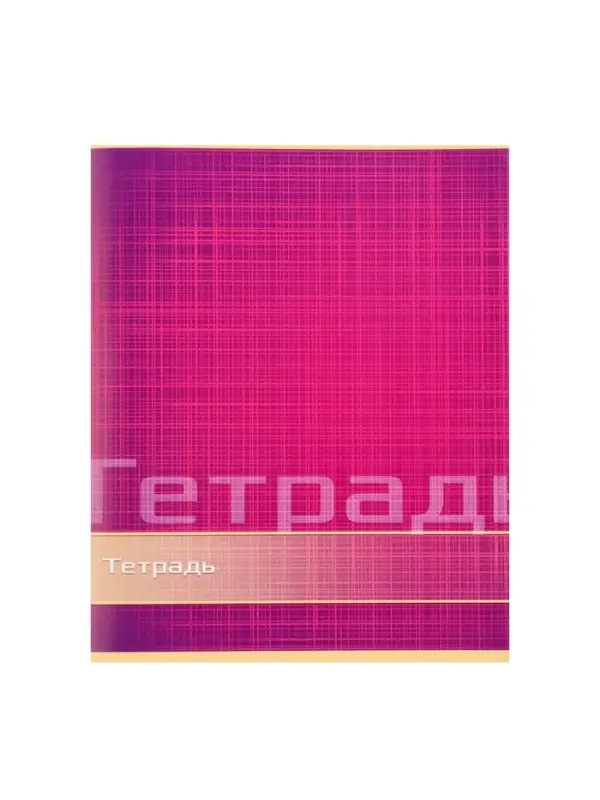 Тетрадь 48 листов в линейку Calligrata &laquo;Цвет и графика&raquo;, обложка мелованная бумага, блок №2, белизна 75% (серые листы), МИКС