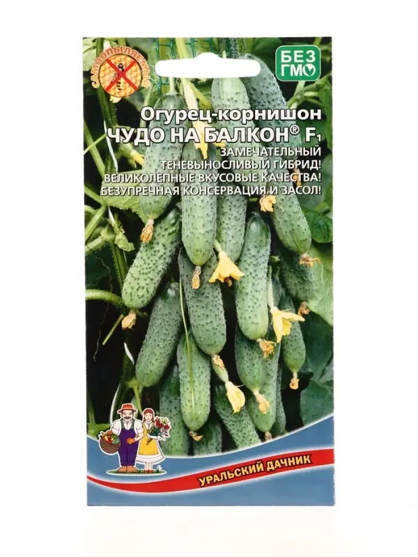 Семена Огурец Чудо на балкон F1 /в реестре Л95/ (УД) Е/П , Е/П,  6 шт.