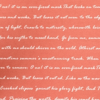 Пленка для цветов "Послание", кофе с молоком, 0,6 х 10 м