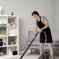 Моющий пылесос для дома и мебели КТ-5213 - 450 Вт