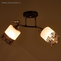 Люстра ГАЛЛОП 890521 2х60Вт Е27 черный/матовый белый с черным рисунком