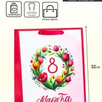 Пакет подарочный ламинированный вертикальный &laquo;Праздничный венок&raquo;, M 26 &times; 32 &times; 12 см