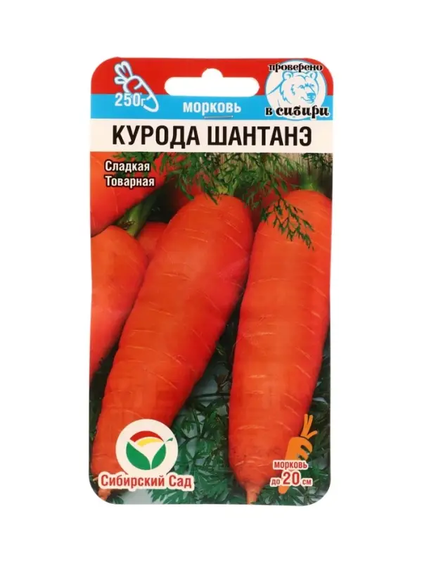 Семена Морковь Курода Шантанэ 1г