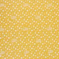 Бумага упаковочная глянцевая двухсторонняя &laquo;Праздник&raquo;, 70 &times; 100 см