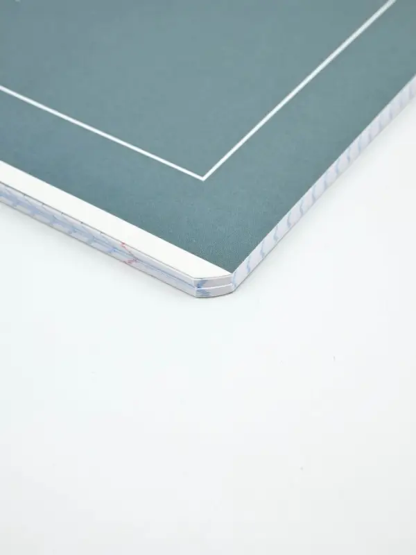 Тетради в клетку, 48 л., набор из 5 шт., блок №1 &laquo;Мечта&raquo;