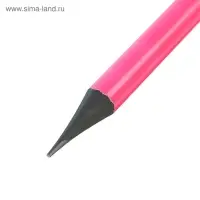 Карандаш чернографитный ErichKrause &laquo;JOY&raquo;, HB, грифель d=2.2 мм, пластик, круглый, в тубусе, неон МИКС