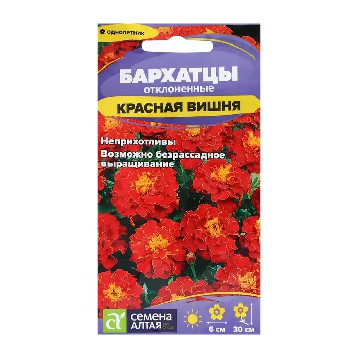 Семена цветов Бархатцы "Красная Вишня", ц/п,  О, 0,2 г.