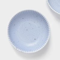 Тарелки глубокие Доляна &laquo;Коралл&raquo;, 700 мл, d=18,2 см, набор 2 шт, фарфор, голубые