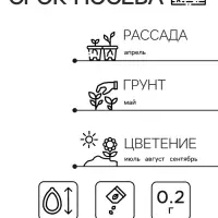 Семена  цветов Астра Пионовидная, смесь окрасок, О, 0,2 г