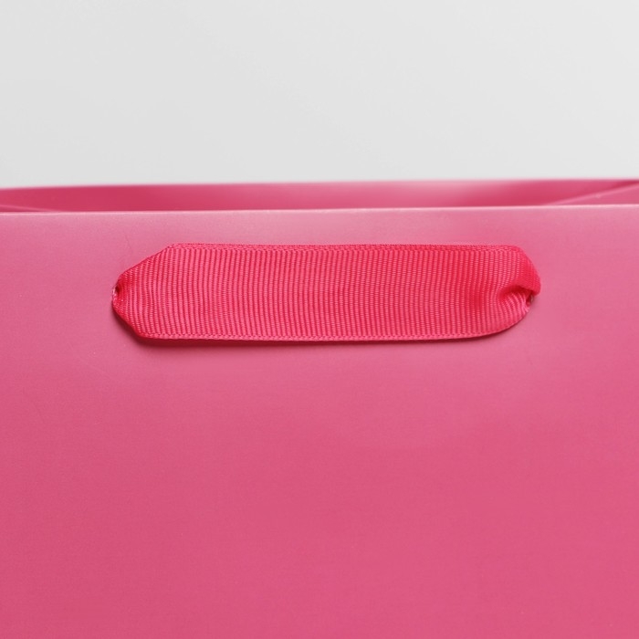 Пакет подарочный ламинированный, упаковка, &laquo;Фуксия&raquo;, MS 18 х 23 х 10 см