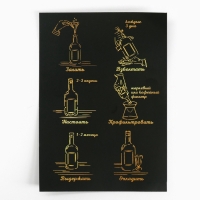 Подарочный набор для приготовления настойки &laquo;Пряный виски&raquo;, набор трав и специй 20 г., бутылка 500 мл., инструкция