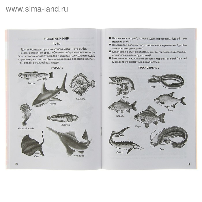 Рабочая тетрадь для детей 5-6 лет &laquo;Знакомимся с окружающим миром&raquo;, Бортникова Е.