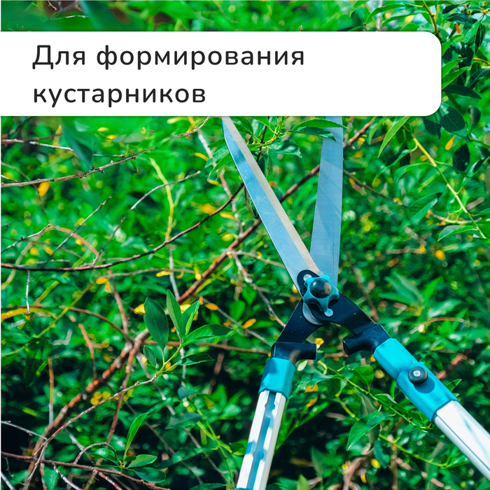 Кусторез, 31&minus;44,5" (79&minus;113 см), телескопический, с металлическими ручками , Greengo