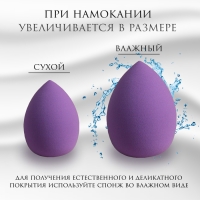 Спонж для макияжа в футляре &laquo;Капля&raquo;, 6 &times; 4 см, увеличивается при намокании, цвет МИКС