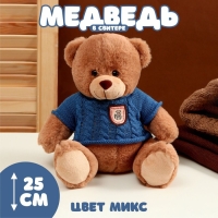 Мягкая игрушка &laquo;Медведь&raquo; в свитере, 25 см, цвет МИКС