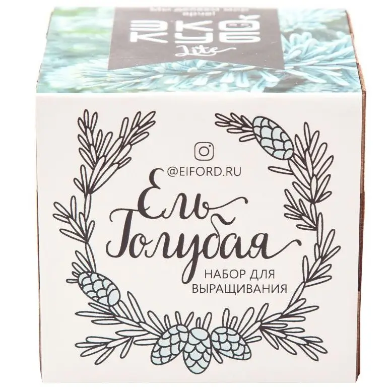 Набор для выращивания «Экокуб Lite», ель голубая Набор для выращивания «Экокуб Lite», ель голубая
