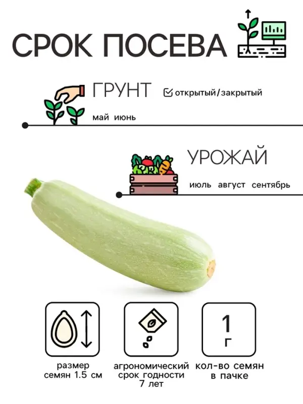 Семена Кабачок "Белоплодные", 1 г