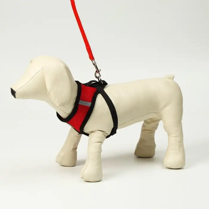 Комплект амуниции с мягкой шлейкой и светоотражающей нашивкой, M, ОШ 26, ОГ 36-44, красный