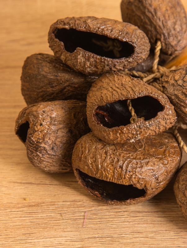 Сувенирный музыкальный инструмент &laquo;Маракас с орехами фруктового дерева&raquo;, 12&times;12&times;23 см