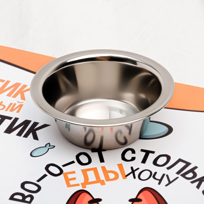 Коврик под миску &laquo;Во-о-от столько еды хочу&raquo;, 43х28 см