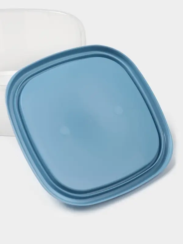 Контейнер пищевой SparkPlast BioFresh, 500 мл, пластик, прозрачный, крышка микс