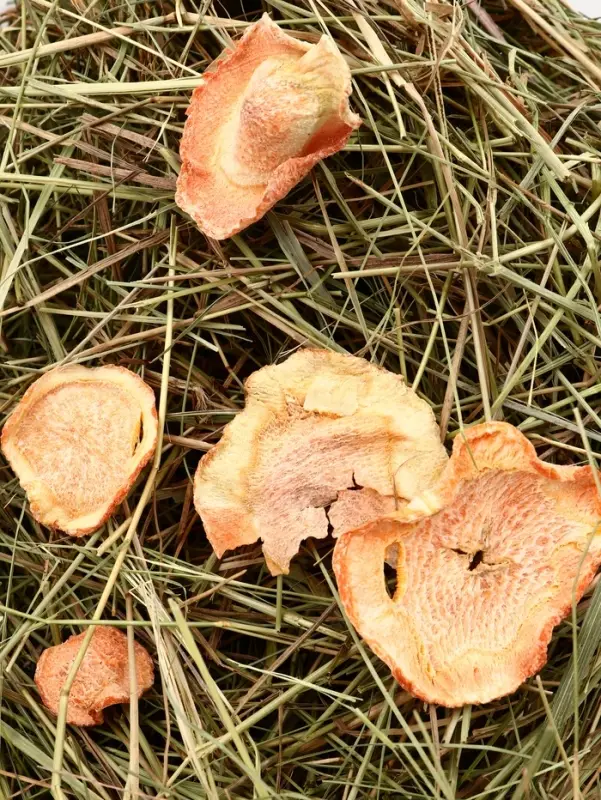 Сено луговое &laquo;Зверьё Моё&raquo;, отборное, ароматное, зеленое, без пыли яблоко, морковь, 500 г