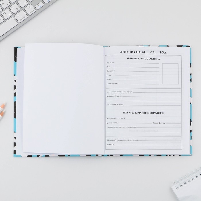 Дневник школьный 5-11 класс &laquo;Панды&raquo;, твердая обложка 7БЦ, глянцевая ламинация, 48 листов