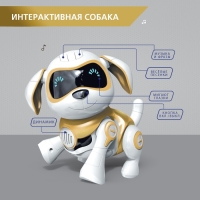 Робот собака &laquo;Чаппи&raquo; IQ BOT, интерактивный: сенсорный, свет, звук, музыкальный, танцующий, на аккумуляторе, на русском языке, золотой