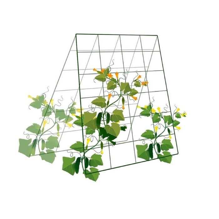 Шпалера для огурцов, двухсторонняя, 118 &times; 78 см, металл
