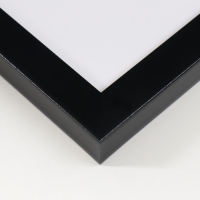 Фоторамка пластик "МИРАМ" 20х25 см, 641877-7, чёрный (пластиковый экран)