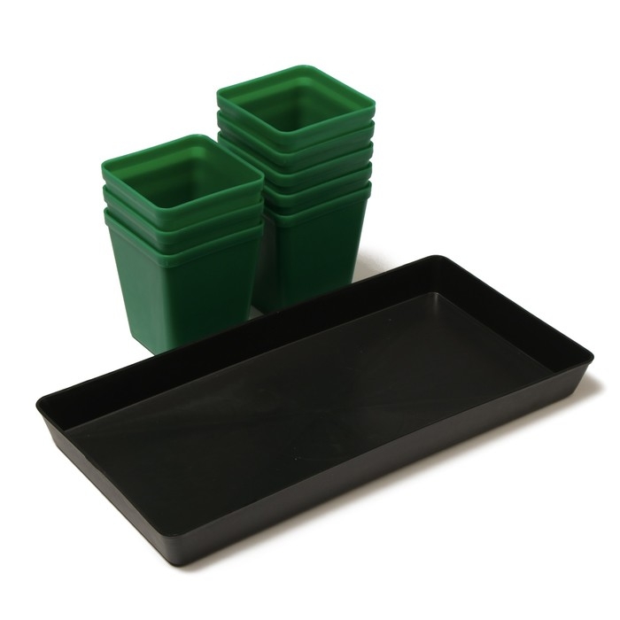 Набор для рассады: стаканы по 600 мл (8 шт.), поддон 36 &times; 18 см, цвет МИКС, Greengo