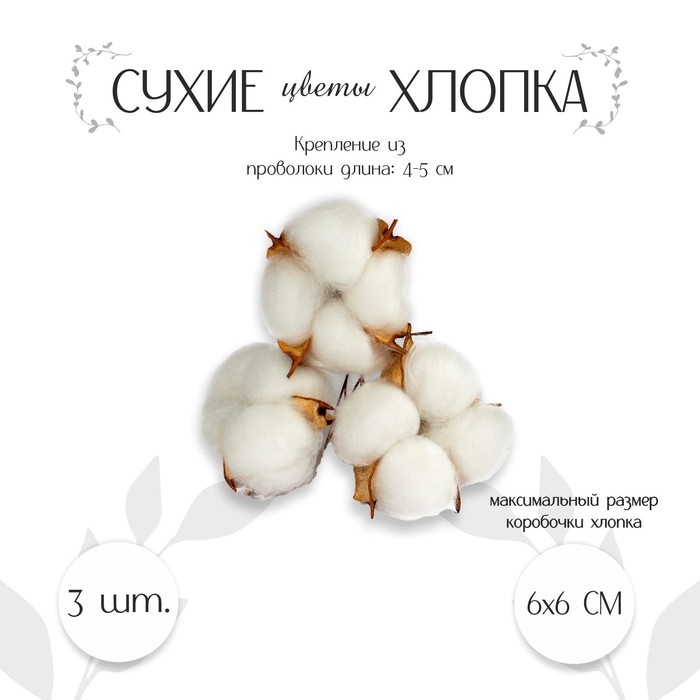Сухие цветы хлопка, набор 3 шт., размер 1 шт. 6 &times; 6 см, цвет белый