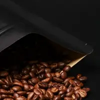 Пакет Zip-lock Крафт с прямоугольным окном, чёрный,20&times;30&times;5 см