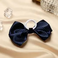 Резинка для волос &laquo;Школьница&raquo;, синий с прозрачной лентой