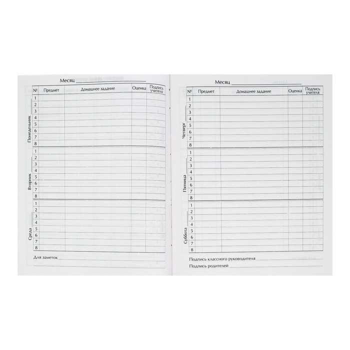 Дневник школьный для 1-11 классов, &laquo;Граффити&raquo;, твёрдая обложка 7БЦ, глянцевая ламинация, 40 листов