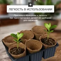 Набор для рассады: торфяной горшок 6&times;6 см, кассета на 6 ячеек, 17.5&times;13.5 см, Greengo