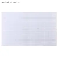 Тетрадь 48 листов в клетку, Calligrata &laquo;Лапки&raquo;, обложка мелованный картон, блок офсет, МИКС