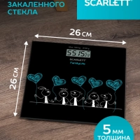 Весы электронные