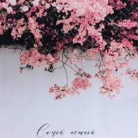 Пакет подарочный вертикальный &laquo;Табебуйя розовая&raquo;,  M 26 &times; 32 &times; 12 см