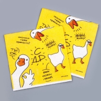 Салфетки бумажные однослойные &laquo;Гуси&raquo;, 24 &times; 24 см, в наборе 20 шт.