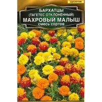 Семена цветов Бархатцы Махровый малыш отклоненные, смесь сортов  Золотая серия, Ц/П,0,1 г